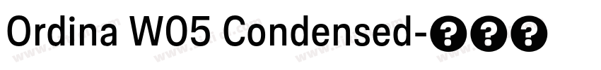 Ordina W05 Condensed字体转换 Ordina W05 Condensed字体转换